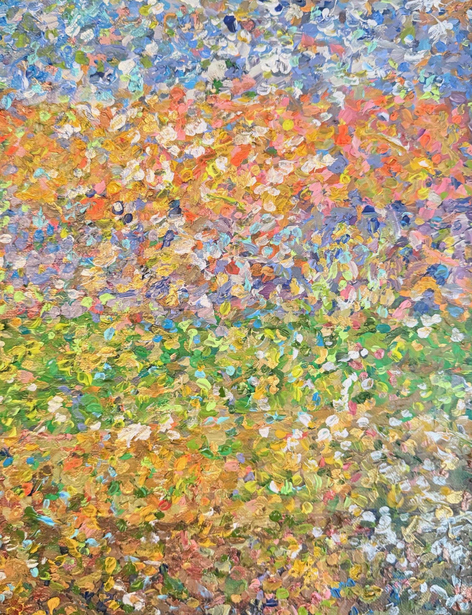 Geographic Surjective Submersions — Joshua Tree, Colorado