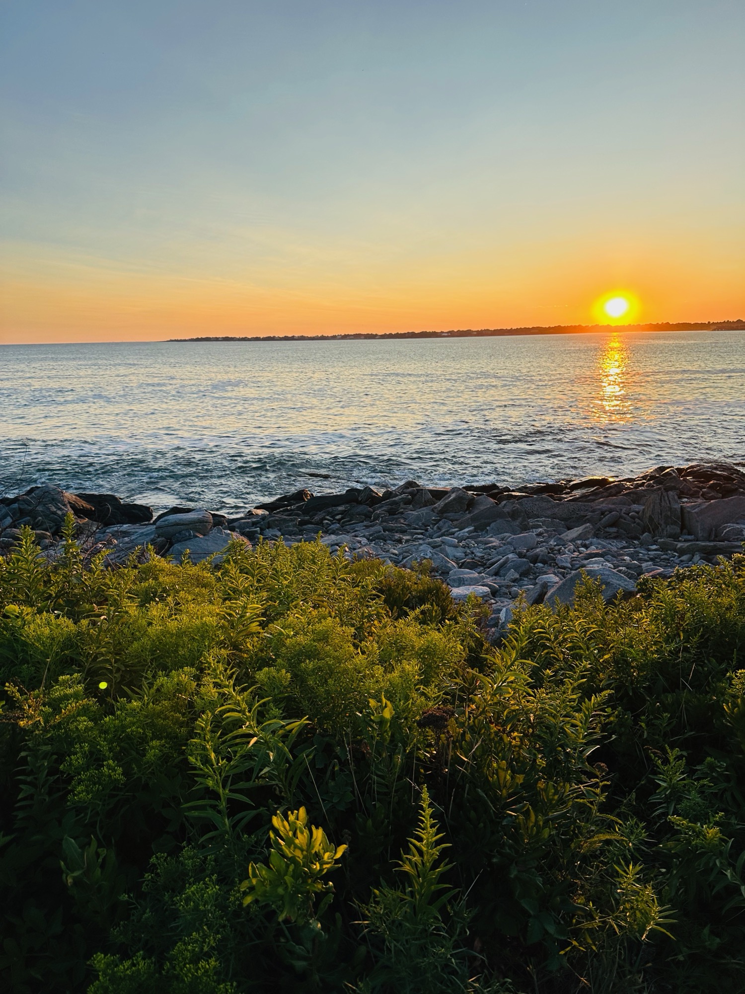 Nature Immersion — Sachuest Point, Acadia, Great Meadows