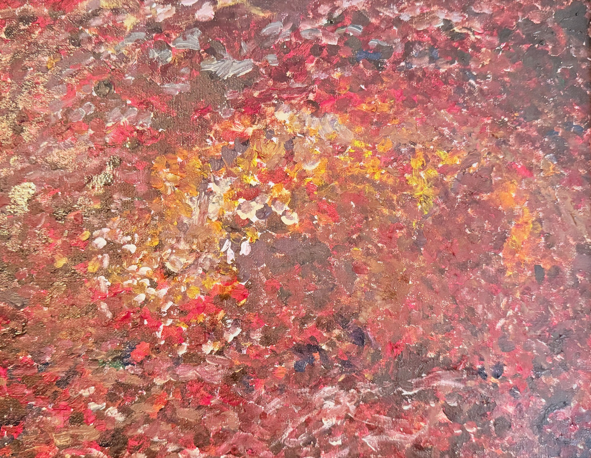 Nature immersion photography